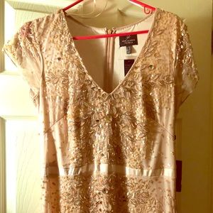 Blush Beaded Adrianna Papell Gown Size 12